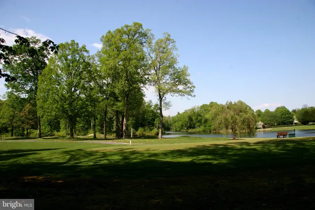a view of a park with trees and a trees