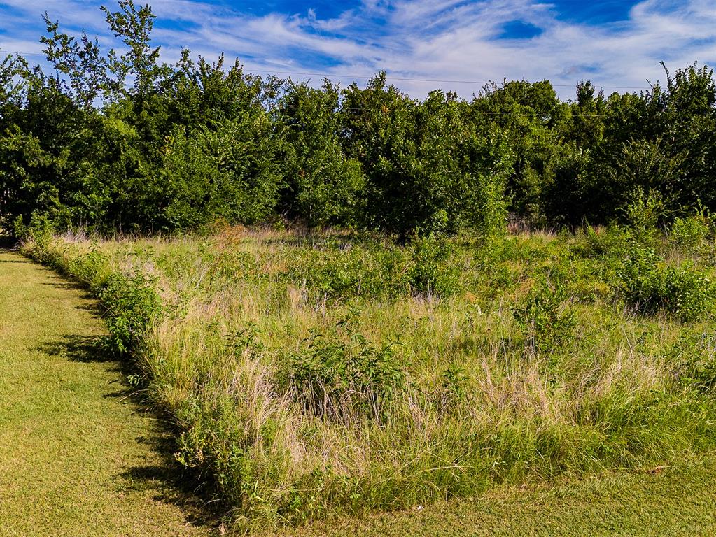 5830 Co Road Terrell, TX 75160 - Photo 9 of 11