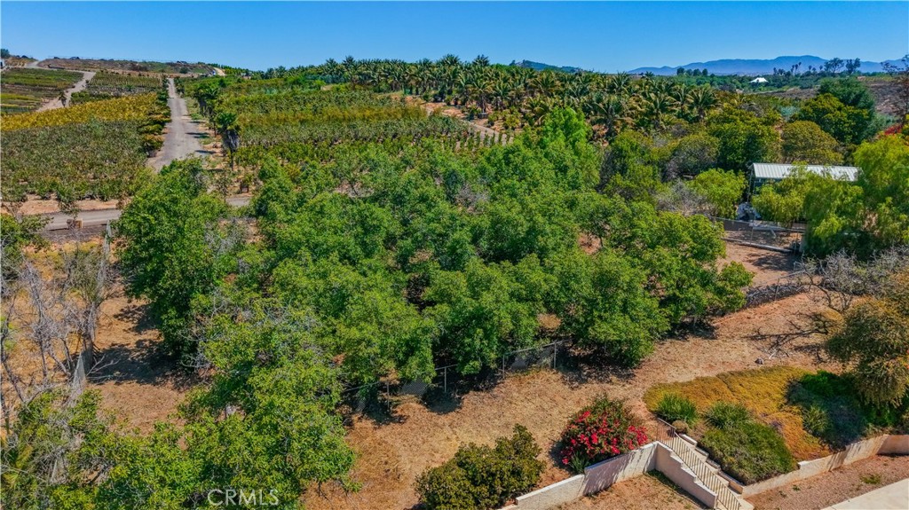 8258 Via Urner Way Bonsall, CA 92003 - Photo 37 of 49