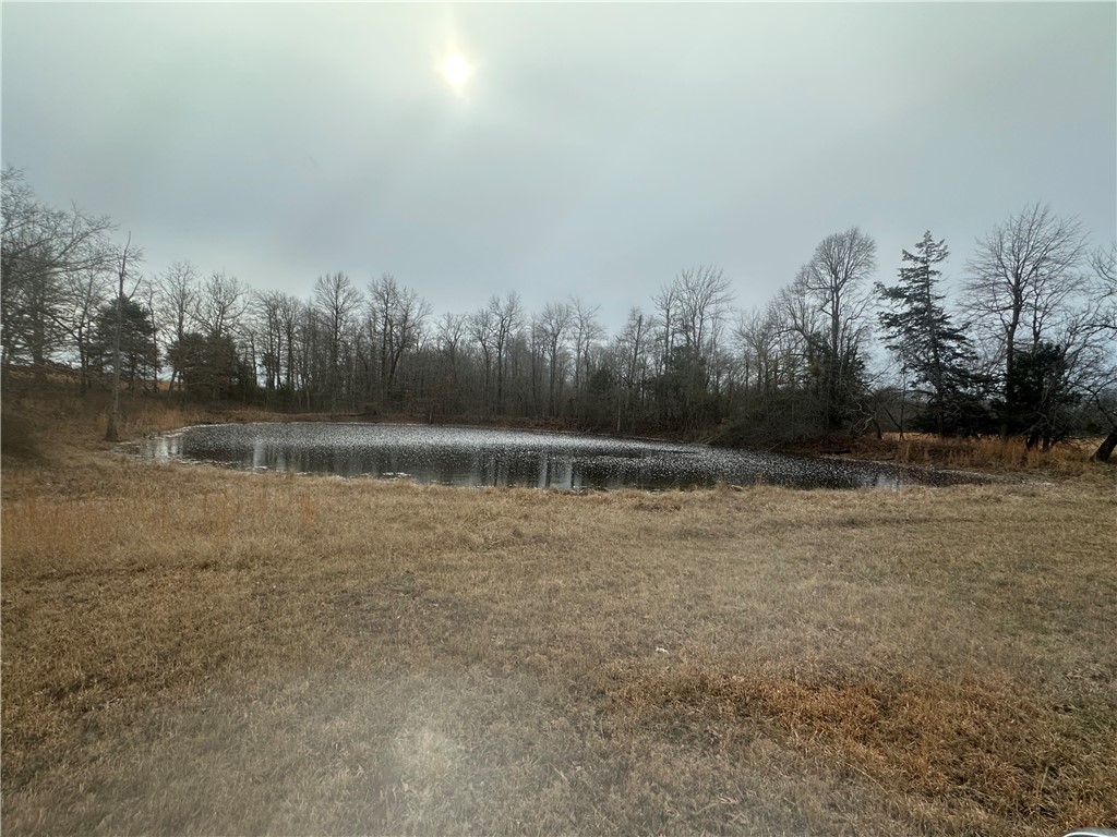 Liberty Road Leslie, AR 72645 - Photo 2 of 25 Gallery Image 2