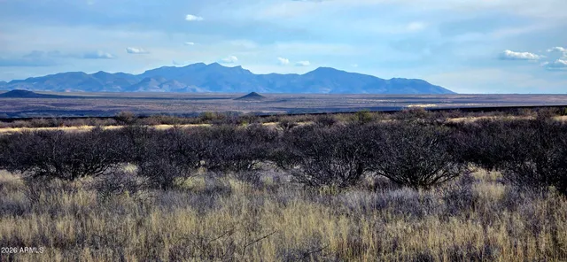 $60,600 | Lot 69 Firebird Lane, Unit 69, Hereford, AZ 85615