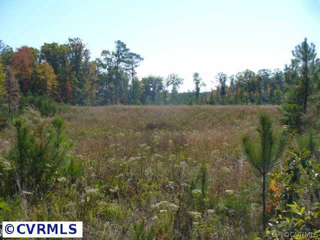 1 Eastern View Road Dunnsville, VA 22454 - Photo 1 of 1 Exterior Front