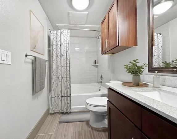 $2,556 | 2910 Milam Street, Unit 1214, Houston, TX 77006