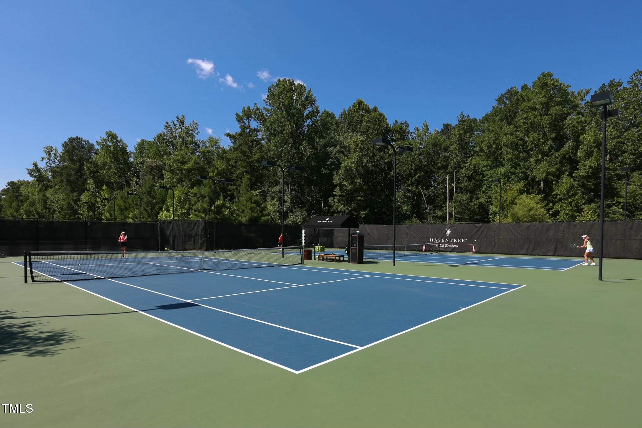 7220 Hasentree Way Wake Forest, NC 27587 - Photo 33 of 39 a view of tennis court with trees in the background