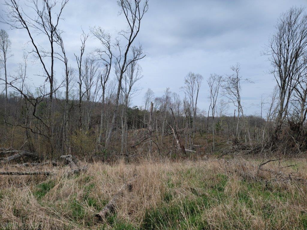 Tbd Hunters Ridge Road Dugspur, VA 24325 - Photo 14 of 65 Gallery Image 14