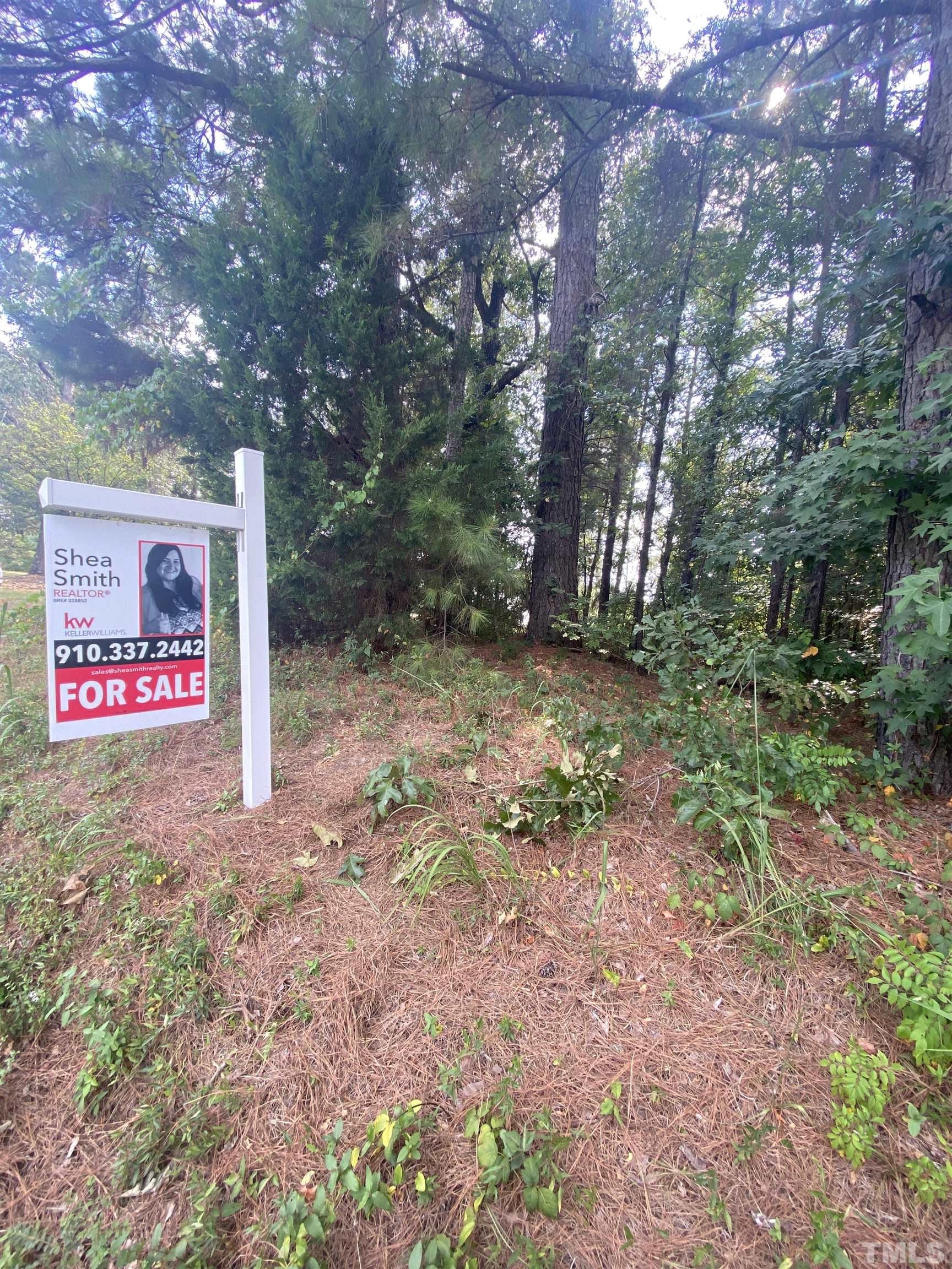 1 Elizabethtown Highway Roseboro, NC 28382 - Photo 2 of 4 a view of a tree with sign of the park