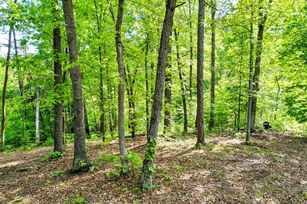 23 Sandy Ridge Road Dandridge, TN 37725 - Photo 18 of 37