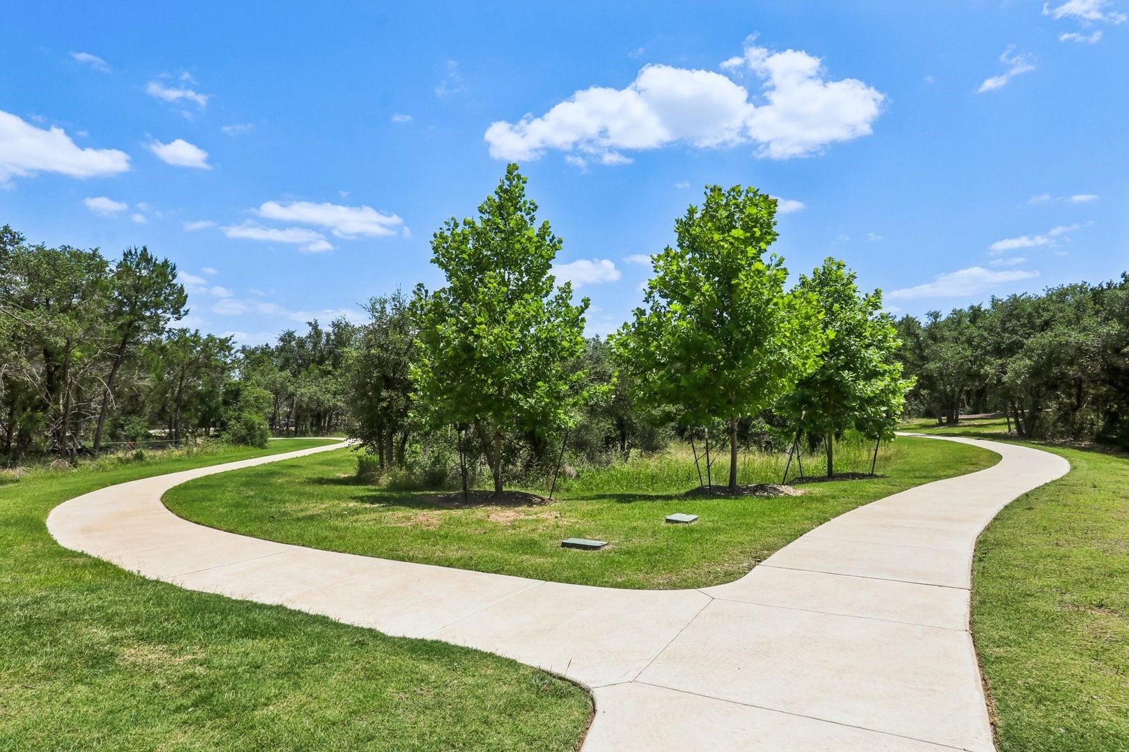 1209 Lavender Way Georgetown, TX 78628 - Photo 5 of 8