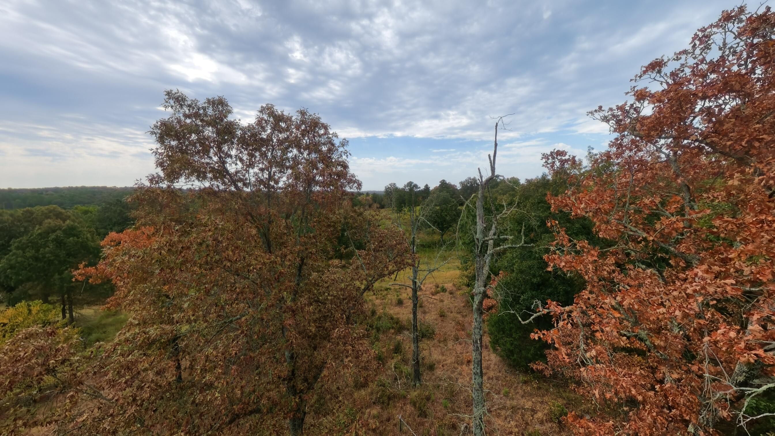 517 Sawmill Road Brockwell, AR 72517 - Photo 39 of 54 40 acres037