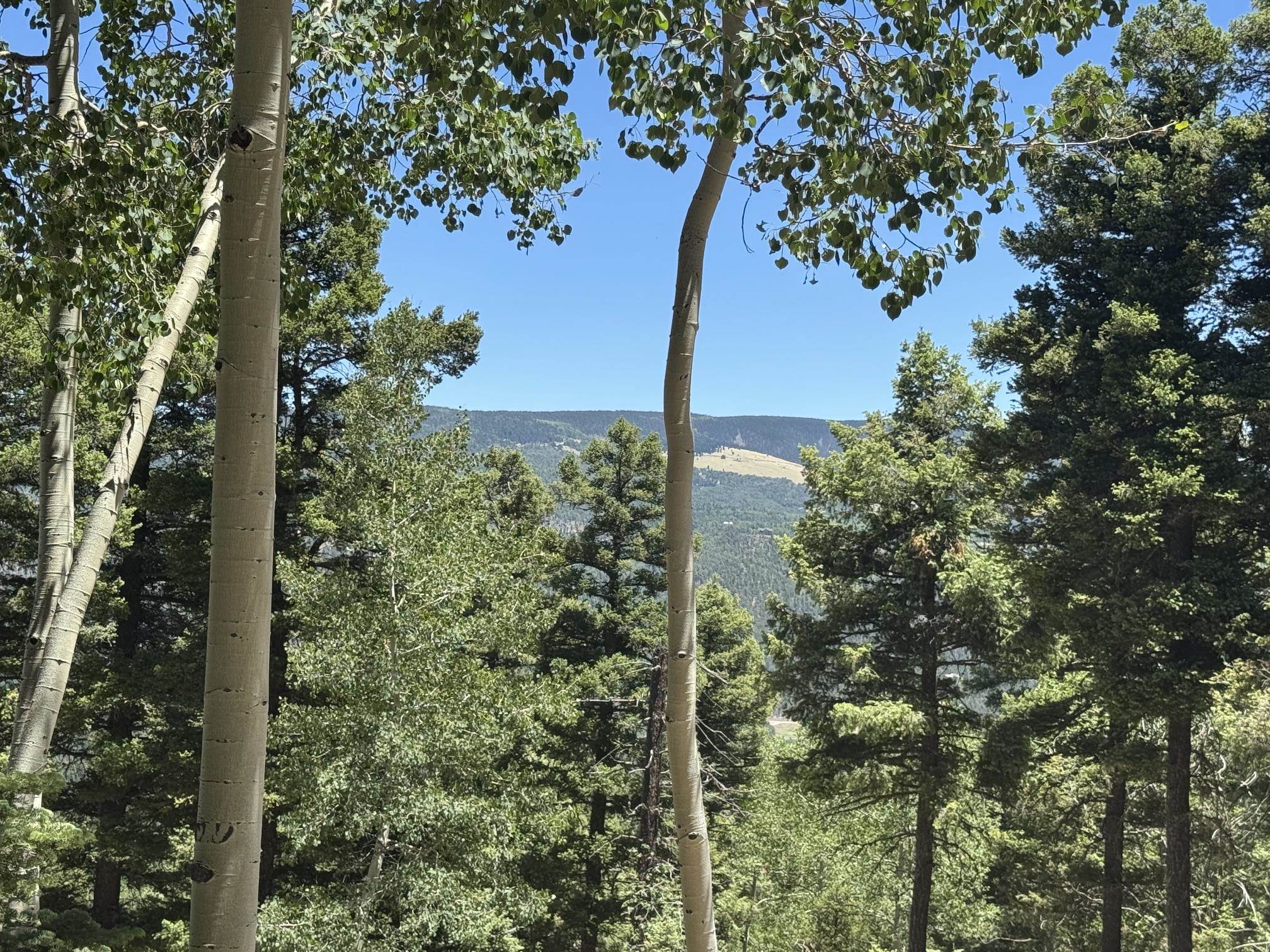 Lot 106 Zia Road Angel Fire, NM 87710 - Photo 19 of 23 Gallery Image 19