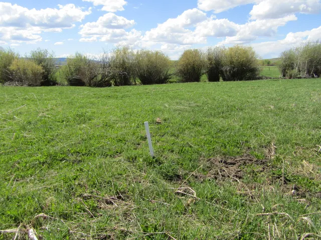 $1,275,000 | 33 West Highway 33, Tetonia, ID 83452