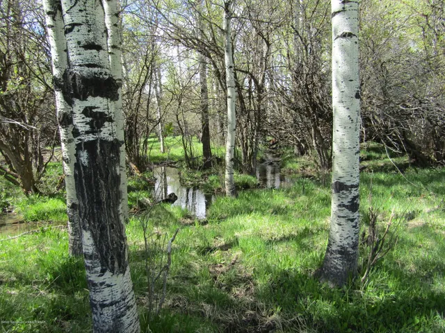 $1,275,000 | 33 West Highway 33, Tetonia, ID 83452