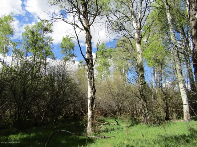 $1,275,000 | 33 West Highway 33, Tetonia, ID 83452