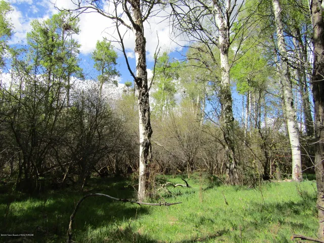 $1,275,000 | 33 West Highway 33, Tetonia, ID 83452