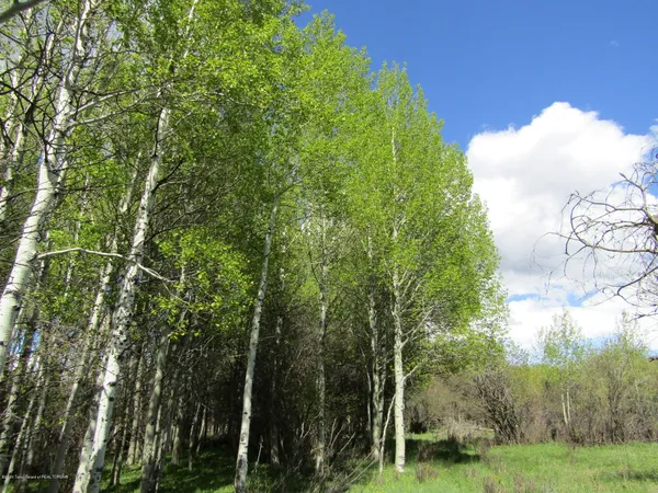 $1,275,000 | 33 West Highway 33, Tetonia, ID 83452