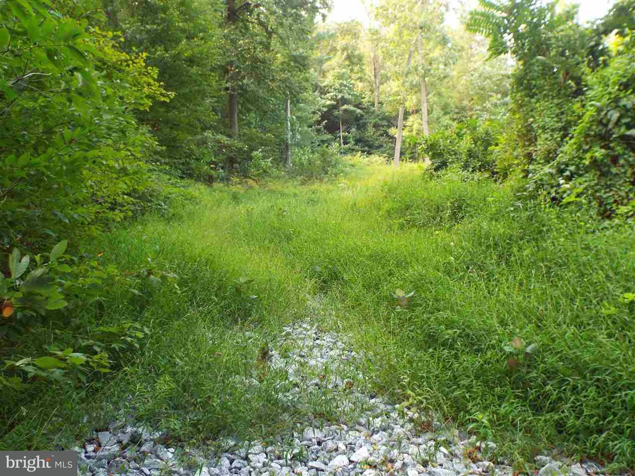 Lot Cemetery Cemetery Road Fredericksburg, PA 17026 - Photo 2 of 13 Gallery Image 2