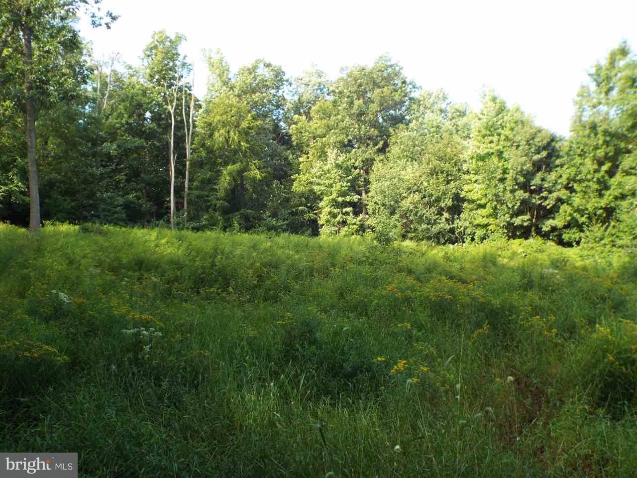 Lot Cemetery Cemetery Road Fredericksburg, PA 17026 - Photo 5 of 13 Gallery Image 5