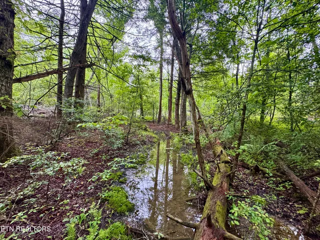 $232,000 | Abe Lane, Lancing, TN 37770