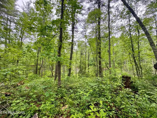 $232,000 | Abe Lane, Lancing, TN 37770