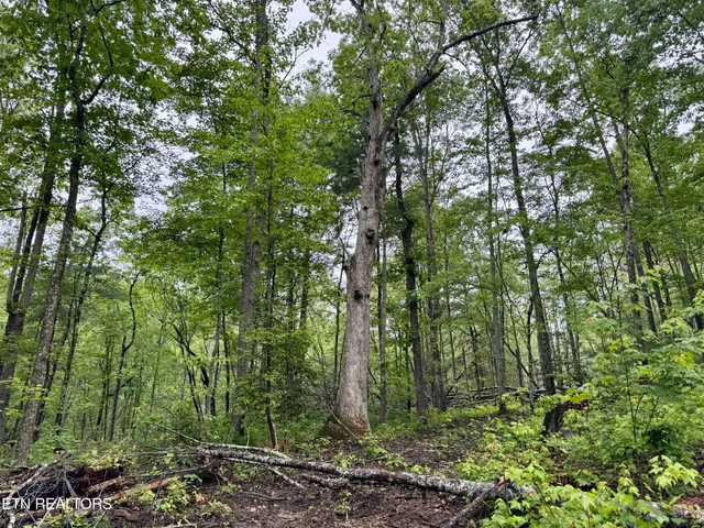 $232,000 | Abe Lane, Lancing, TN 37770