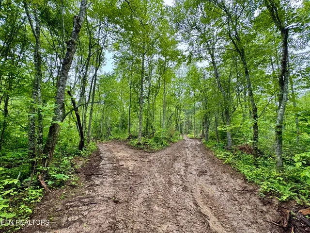 $232,000 | Abe Lane, Lancing, TN 37770