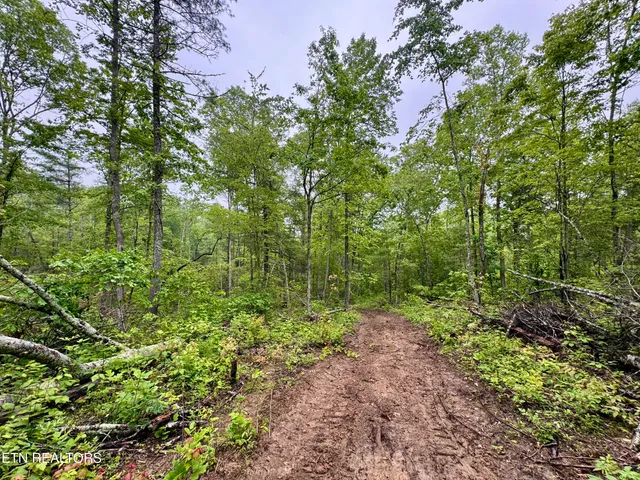 $232,000 | Abe Lane, Lancing, TN 37770