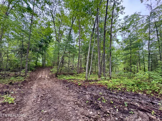 $232,000 | Abe Lane, Lancing, TN 37770