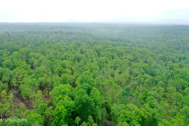 $232,000 | Abe Lane, Lancing, TN 37770