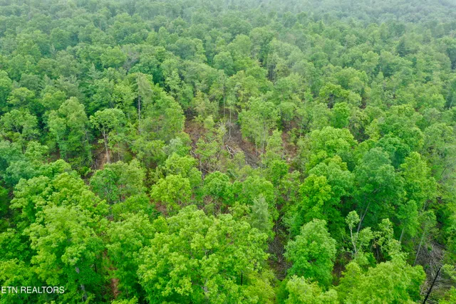 $232,000 | Abe Lane, Lancing, TN 37770