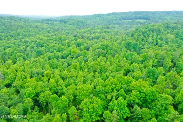 $232,000 | Abe Lane, Lancing, TN 37770