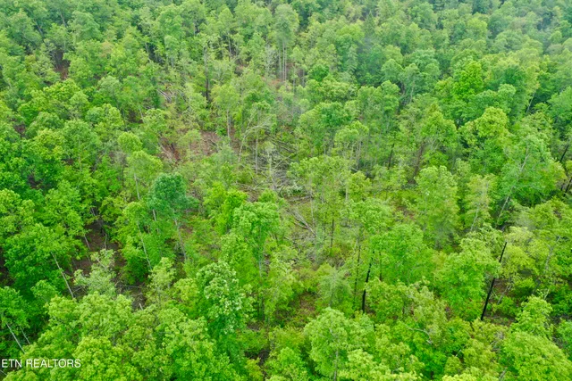 $232,000 | Abe Lane, Lancing, TN 37770