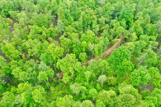 $232,000 | Abe Lane, Lancing, TN 37770