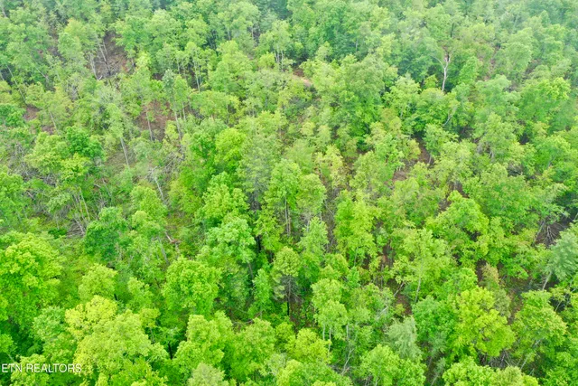 $232,000 | Abe Lane, Lancing, TN 37770