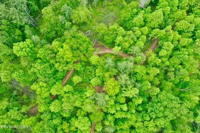 $232,000 | Abe Lane, Lancing, TN 37770