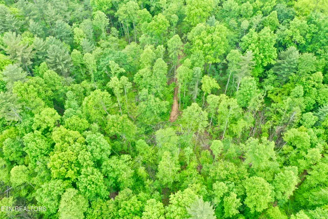 $232,000 | Abe Lane, Lancing, TN 37770