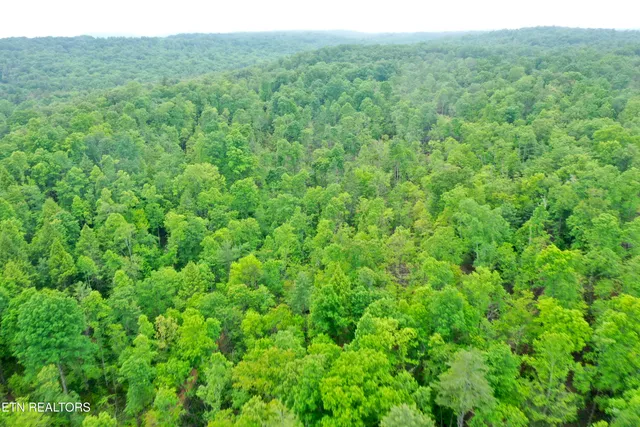 $232,000 | Abe Lane, Lancing, TN 37770