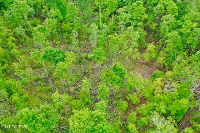 $232,000 | Abe Lane, Lancing, TN 37770