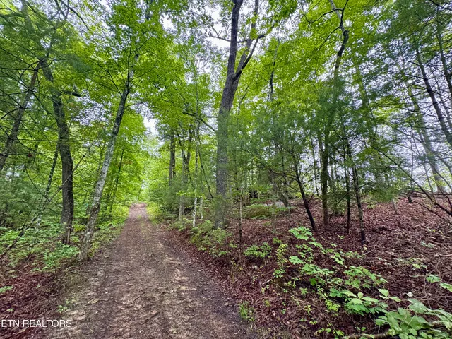 $232,000 | Abe Lane, Lancing, TN 37770