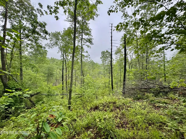 $232,000 | Abe Lane, Lancing, TN 37770