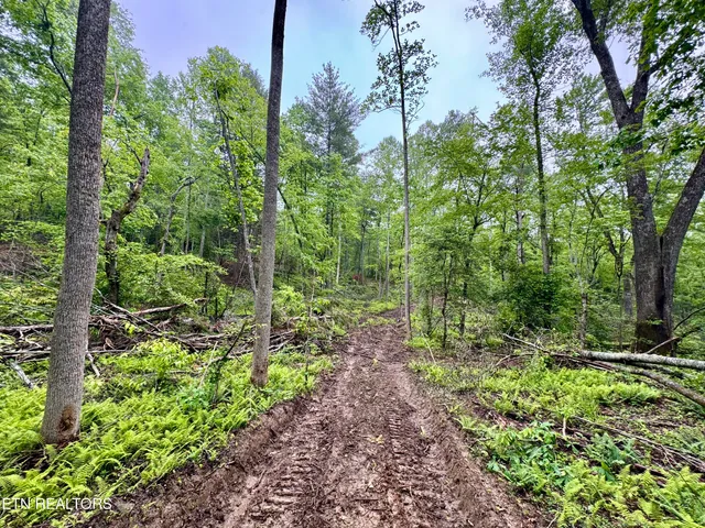 $232,000 | Abe Lane, Lancing, TN 37770