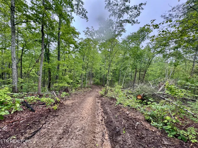 $232,000 | Abe Lane, Lancing, TN 37770