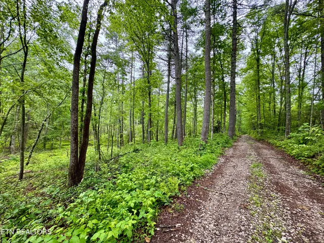 $232,000 | Abe Lane, Lancing, TN 37770