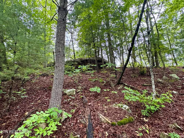 $232,000 | Abe Lane, Lancing, TN 37770