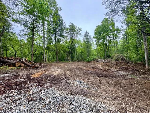 $232,000 | Abe Lane, Lancing, TN 37770