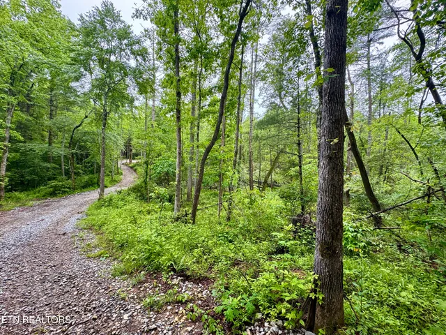 $232,000 | Abe Lane, Lancing, TN 37770