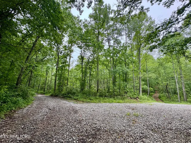 $232,000 | Abe Lane, Lancing, TN 37770