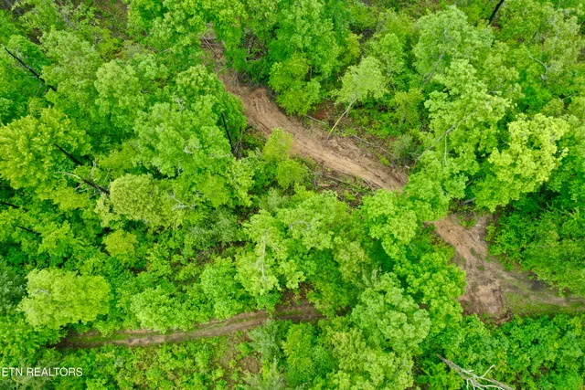 $232,000 | Abe Lane, Lancing, TN 37770