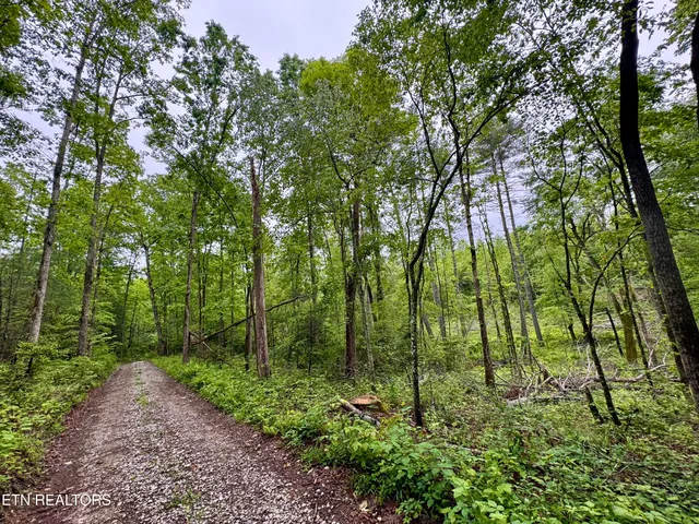 $232,000 | Abe Lane, Lancing, TN 37770