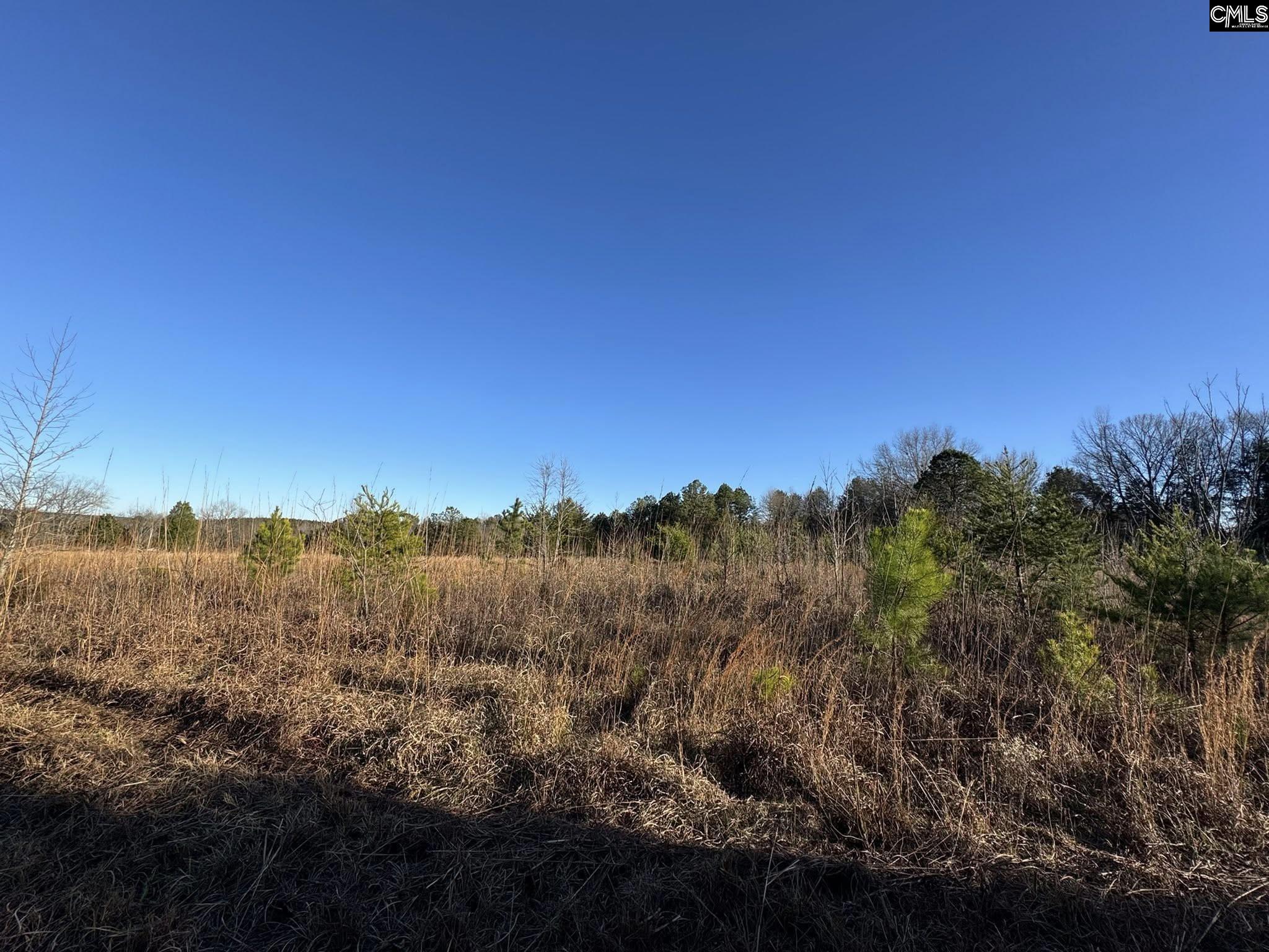 150 Floyd Lanford Road Woodruff, SC 29388 - Photo 15 of 65