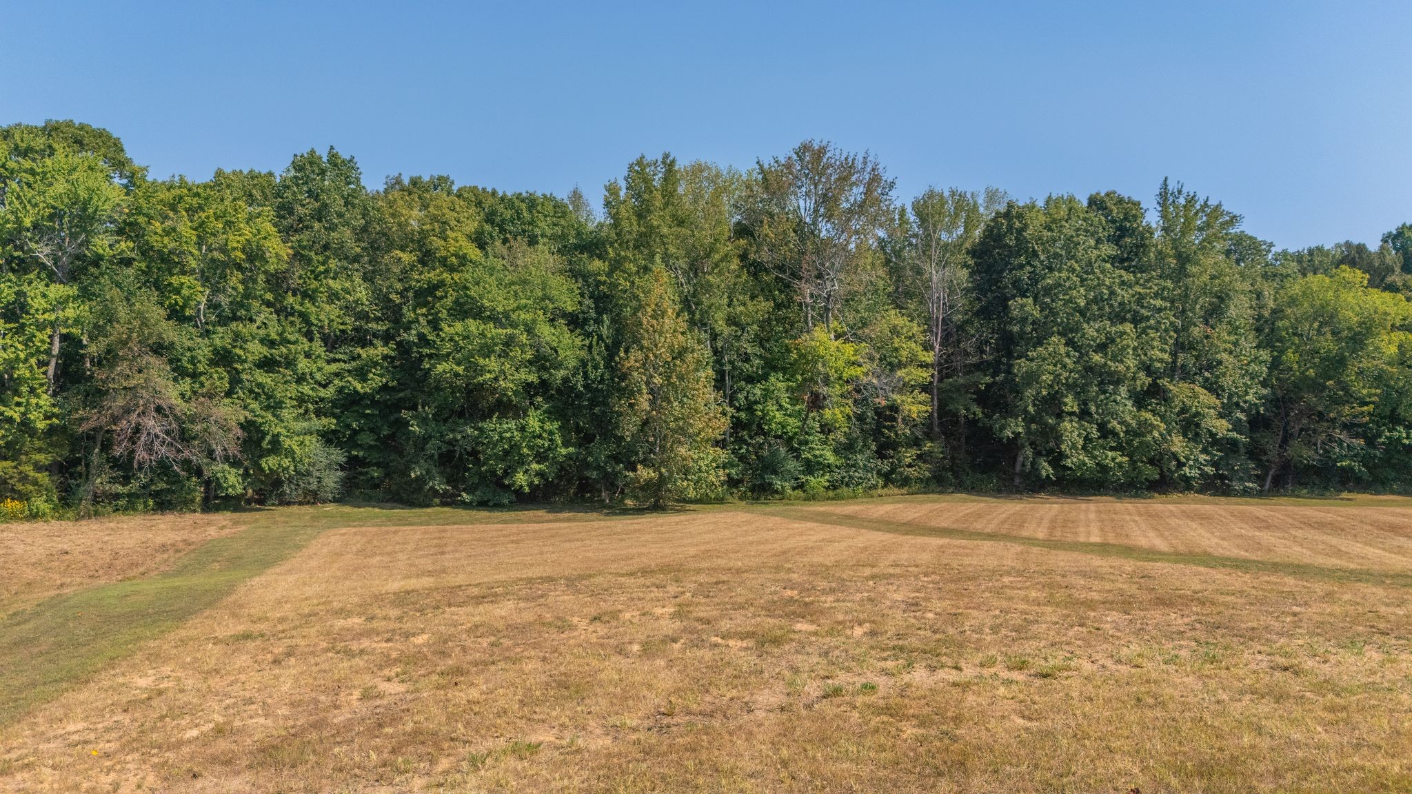 816 Tucker Road Dickson, TN 37055 - Photo 14 of 56 Gallery Image 14